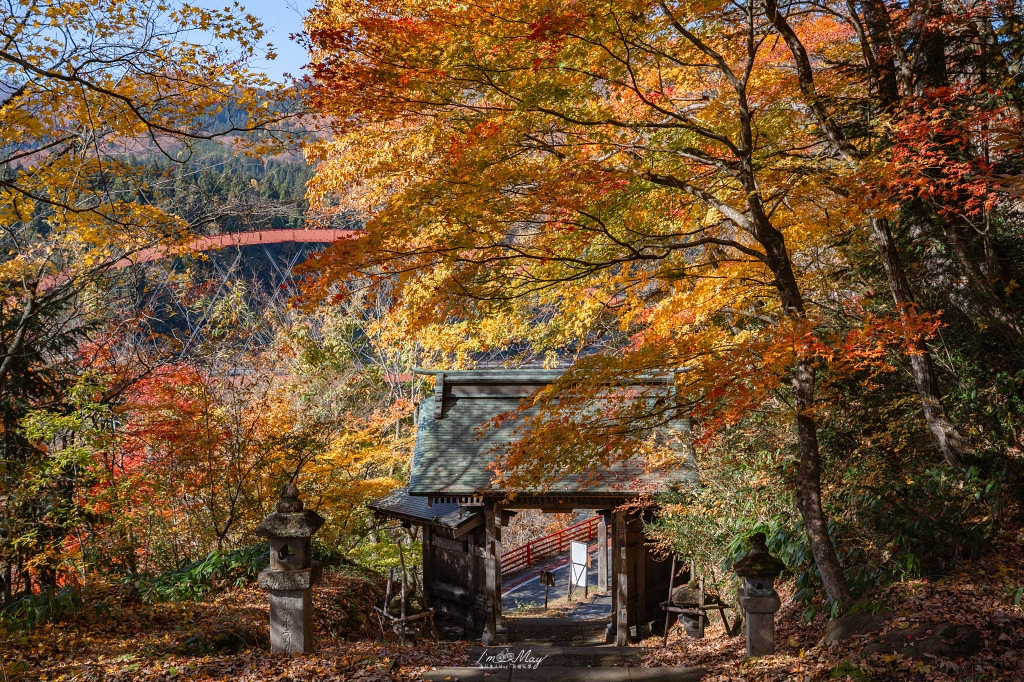 「世界最浪漫鐵道」只見線深秋攝影記錄｜第一到第八鐵橋全制霸、大志集落與私房景點，用 20+ 次經驗與在地攝影家協助的完整只見線拍攝旅程 @偽日本人May．食遊玩樂