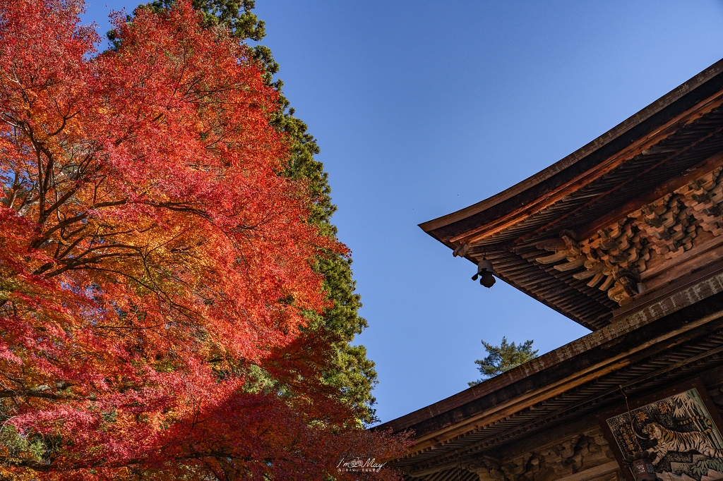 福島攝影記錄 | 奧會津柳津町：岩壁上最絢爛的秋季色彩：福満虚空藏菩薩霊巌山 圓藏寺 (Enzoji Temple)，捕捉只見川畔的錦秋之美 @偽日本人May．食遊玩樂