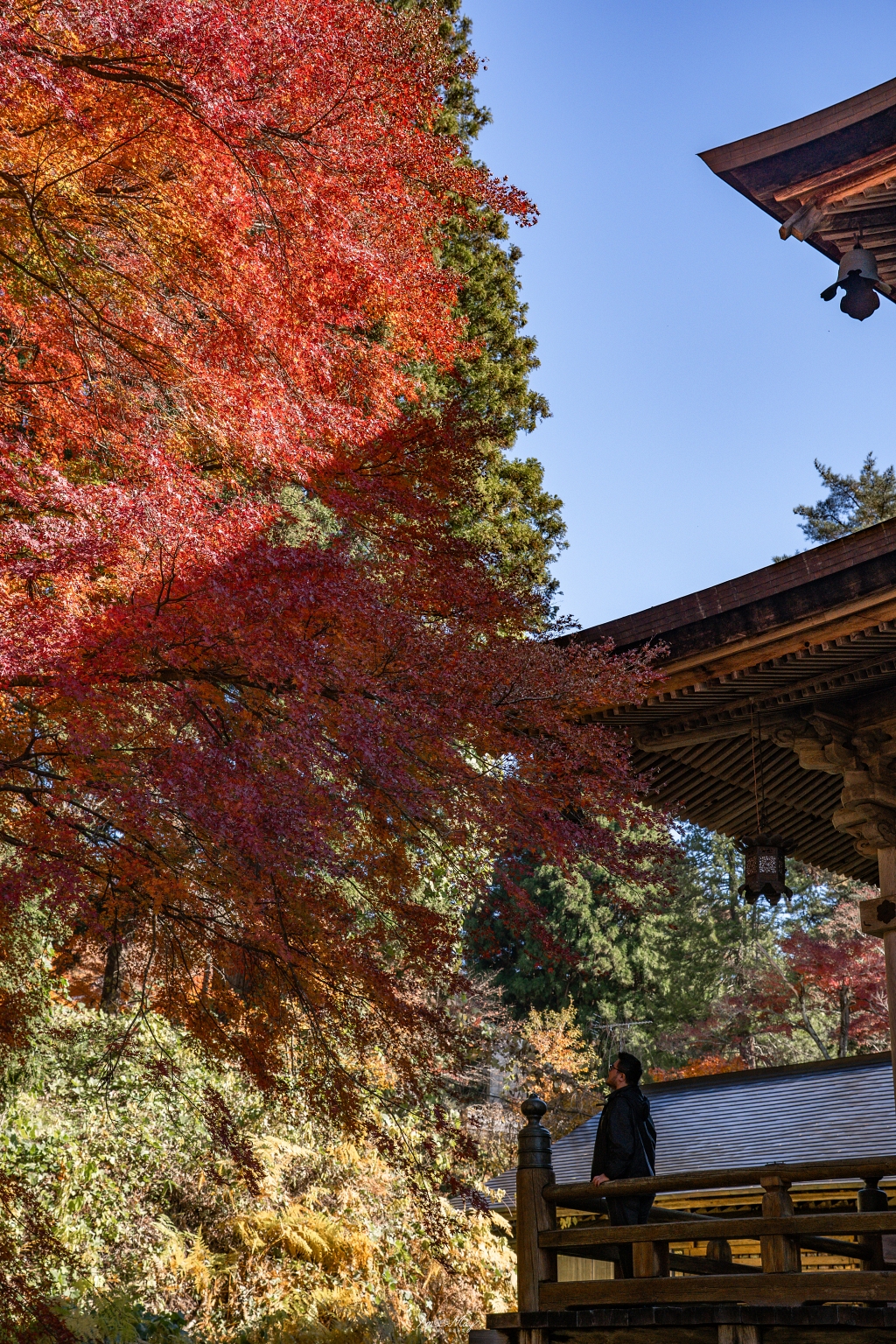 福島攝影記錄 | 奧會津柳津町:岩壁上最絢爛的秋季色彩:福満虚空藏菩薩霊巌山 圓藏寺 (Enzoji Temple),捕捉只見川畔的錦秋之美 @偽日本人May.食遊玩樂 福島攝影記錄 | 奧會津柳津町:岩壁上最絢爛的秋季色彩:福満虚空藏菩薩霊巌山 圓藏寺 (Enzoji Temple),捕捉只見川畔的錦秋之美 @偽日本人May.食遊玩樂