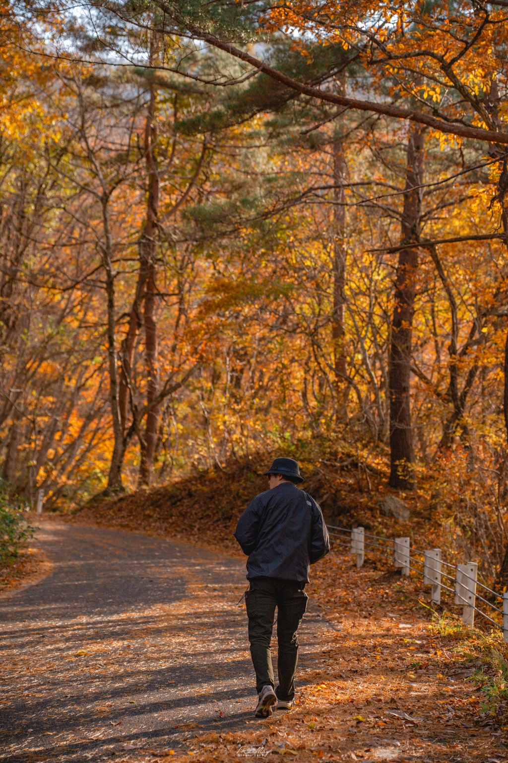 「世界最浪漫鐵道」只見線深秋攝影記錄｜第一到第八鐵橋全制霸、大志集落與私房景點，用 20+ 次經驗與在地攝影家協助的完整只見線拍攝旅程 @偽日本人May．食遊玩樂