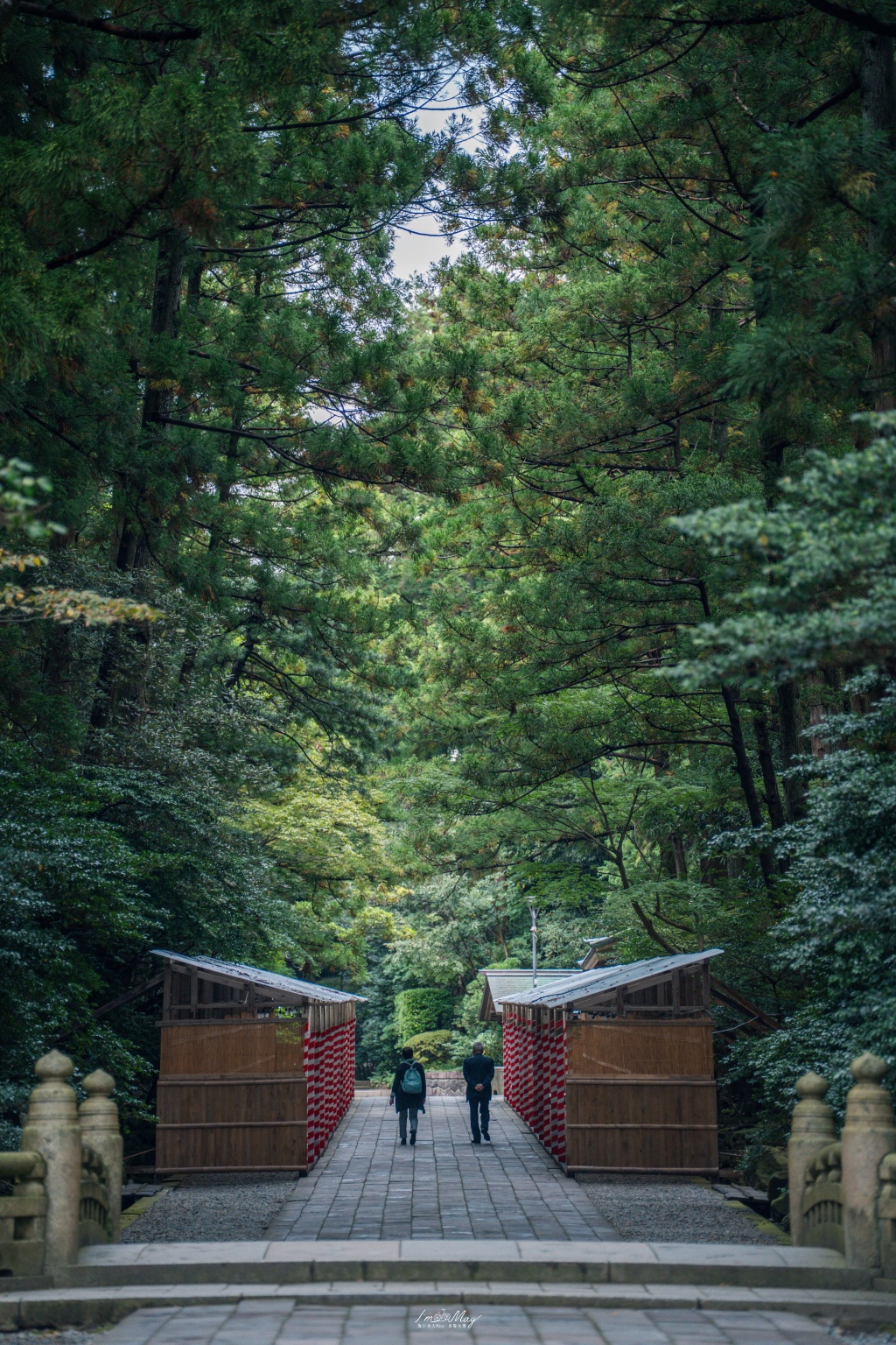 新潟攝影記錄｜初秋綠意與莊嚴朱紅的邂逅：彌彥神社，走入越後一宮的靜謐，捕捉十月中旬的色彩層次 @偽日本人May．食遊玩樂