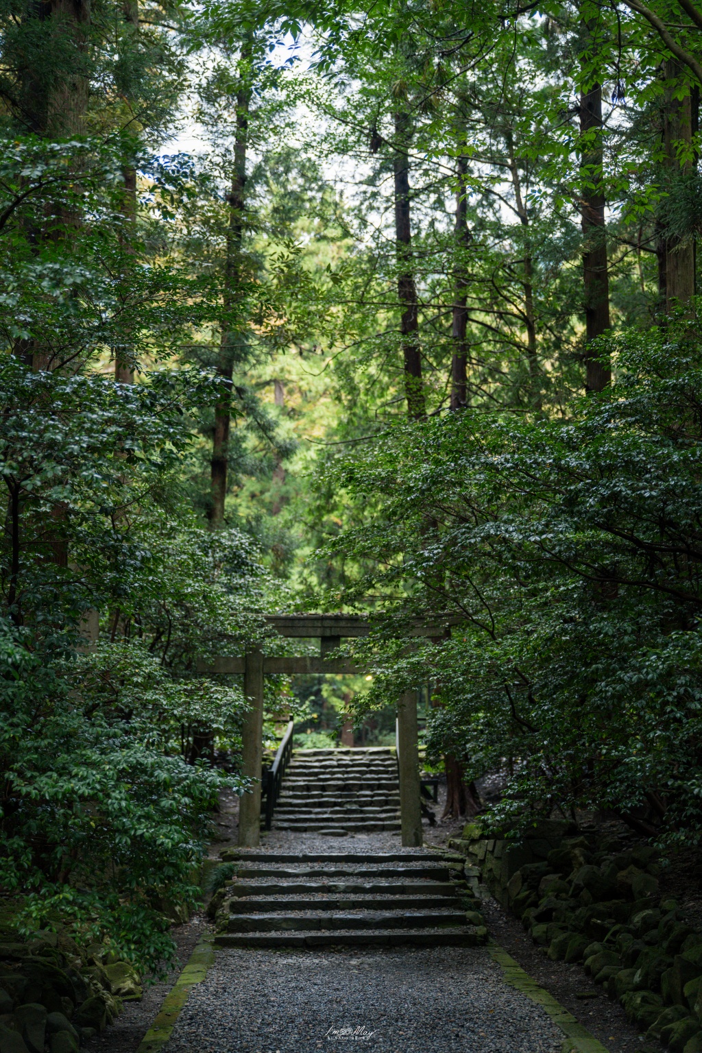 新潟攝影記錄｜初秋綠意與莊嚴朱紅的邂逅：彌彥神社，走入越後一宮的靜謐，捕捉十月中旬的色彩層次 @偽日本人May．食遊玩樂