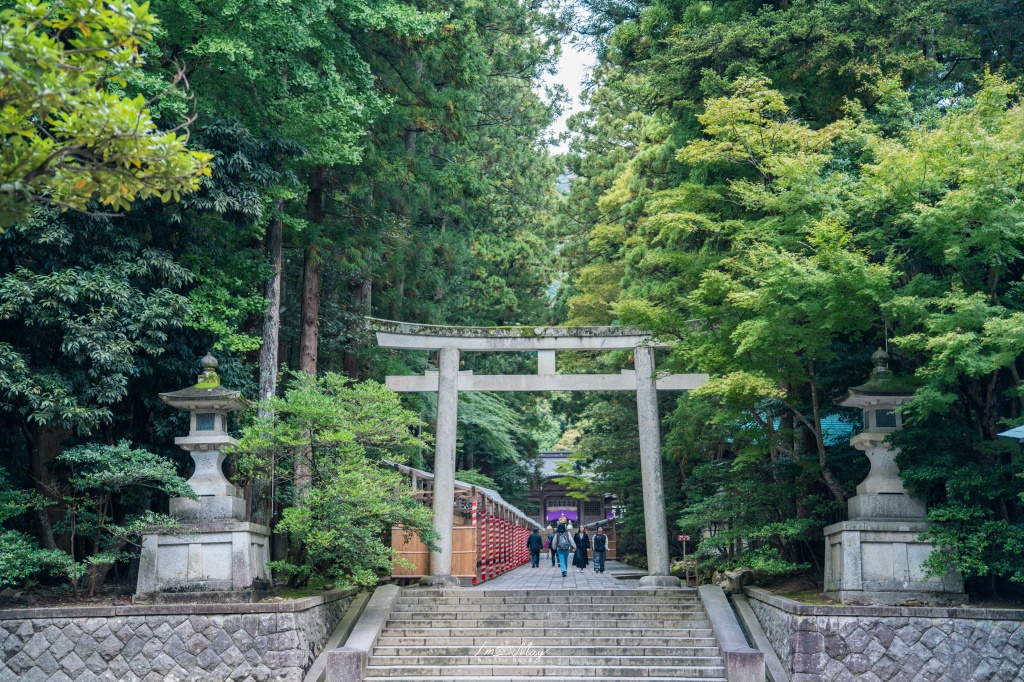 新潟攝影記錄｜初秋綠意與莊嚴朱紅的邂逅：彌彥神社，走入越後一宮的靜謐，捕捉十月中旬的色彩層次 @偽日本人May．食遊玩樂