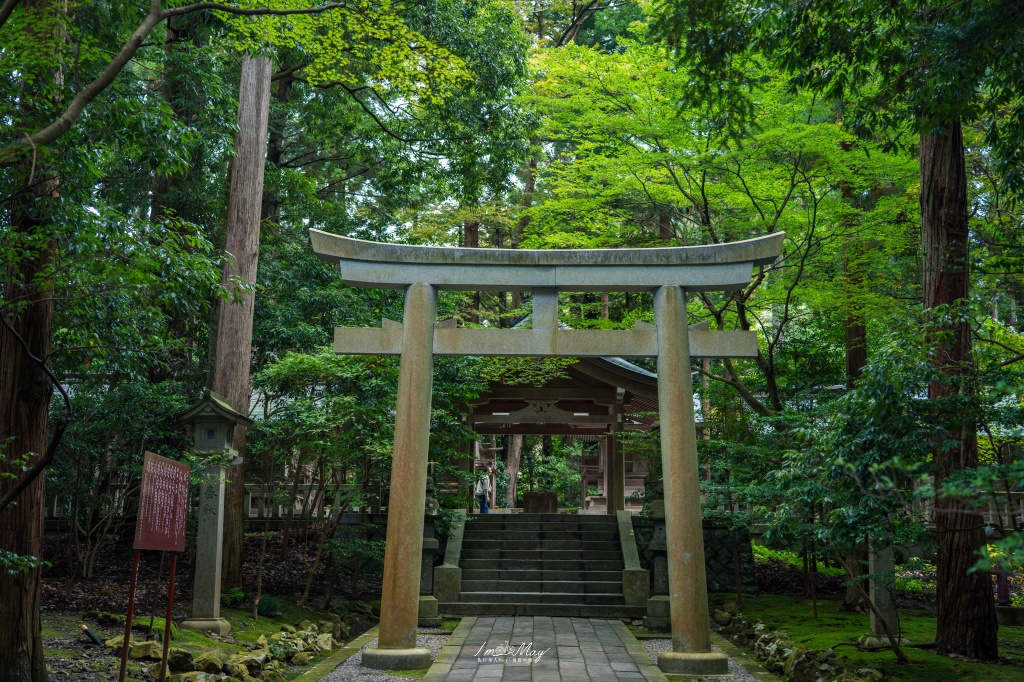 新潟攝影記錄｜初秋綠意與莊嚴朱紅的邂逅：彌彥神社，走入越後一宮的靜謐，捕捉十月中旬的色彩層次 @偽日本人May．食遊玩樂