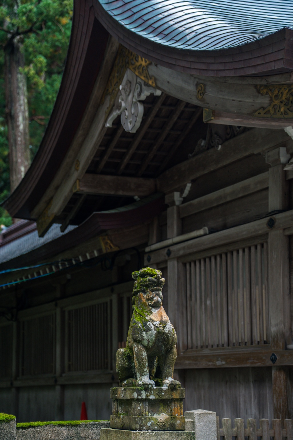新潟攝影記錄｜初秋綠意與莊嚴朱紅的邂逅：彌彥神社，走入越後一宮的靜謐，捕捉十月中旬的色彩層次 @偽日本人May．食遊玩樂