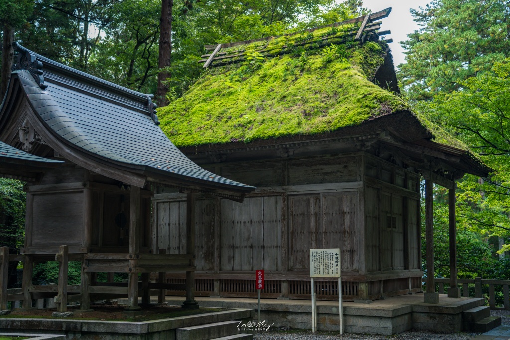 新潟攝影記錄｜初秋綠意與莊嚴朱紅的邂逅：彌彥神社，走入越後一宮的靜謐，捕捉十月中旬的色彩層次 @偽日本人May．食遊玩樂