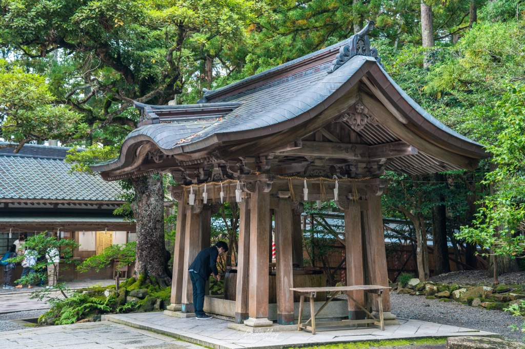 新潟攝影記錄｜初秋綠意與莊嚴朱紅的邂逅：彌彥神社，走入越後一宮的靜謐，捕捉十月中旬的色彩層次 @偽日本人May．食遊玩樂