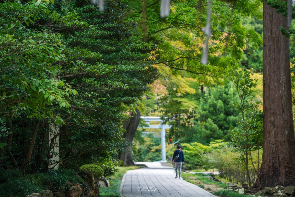 新潟攝影記錄｜初秋綠意與莊嚴朱紅的邂逅：彌彥神社，走入越後一宮的靜謐，捕捉十月中旬的色彩層次 @偽日本人May．食遊玩樂