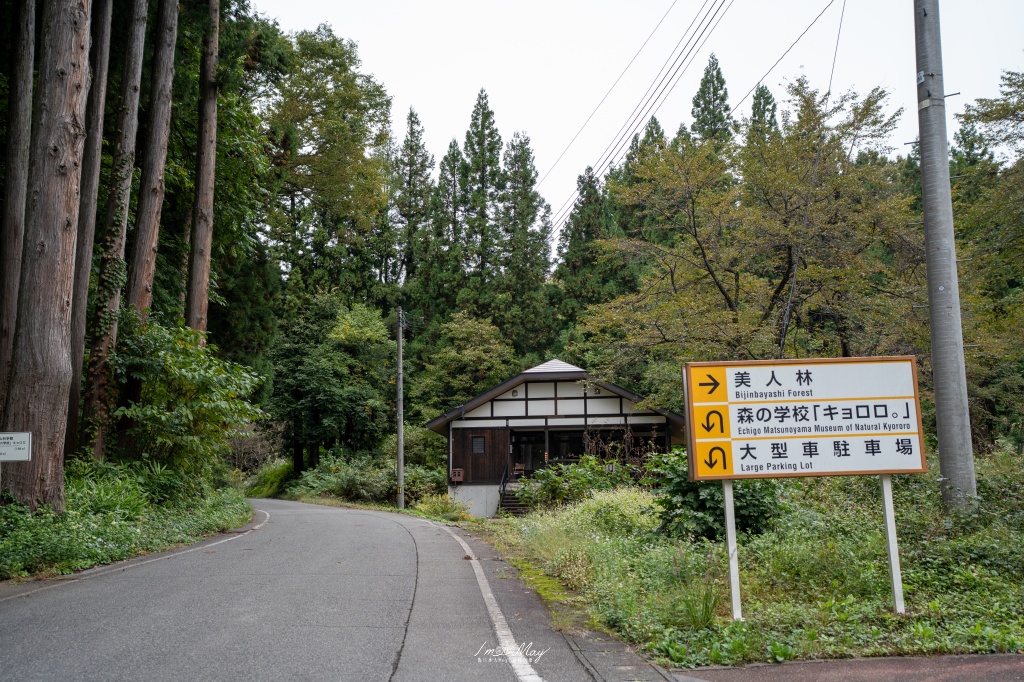 新潟攝影記錄｜初秋的治癒系深呼吸：美人林，在完全翠綠的十月中旬，捕捉森林裡的靜謐光影 @偽日本人May．食遊玩樂