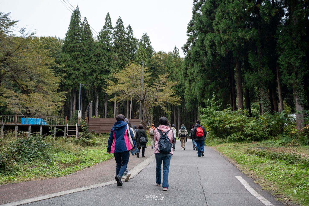 新潟攝影記錄｜初秋的治癒系深呼吸：美人林，在完全翠綠的十月中旬，捕捉森林裡的靜謐光影 @偽日本人May．食遊玩樂