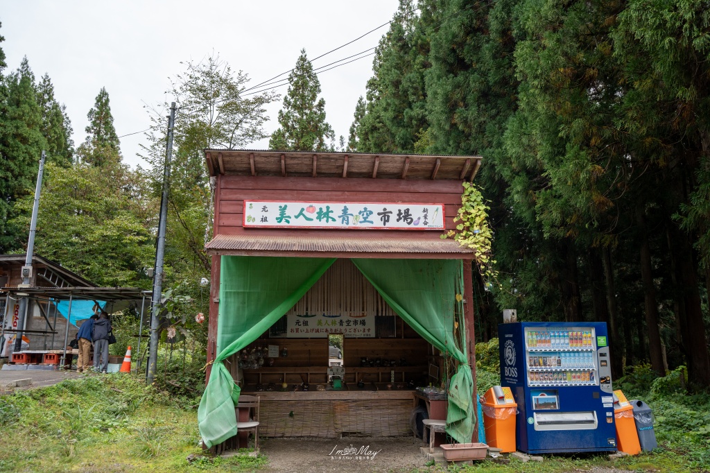 新潟攝影記錄｜初秋的治癒系深呼吸：美人林，在完全翠綠的十月中旬，捕捉森林裡的靜謐光影 @偽日本人May．食遊玩樂