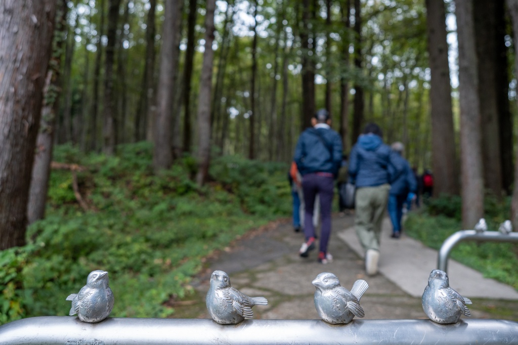 新潟攝影記錄｜初秋的治癒系深呼吸：美人林，在完全翠綠的十月中旬，捕捉森林裡的靜謐光影 @偽日本人May．食遊玩樂