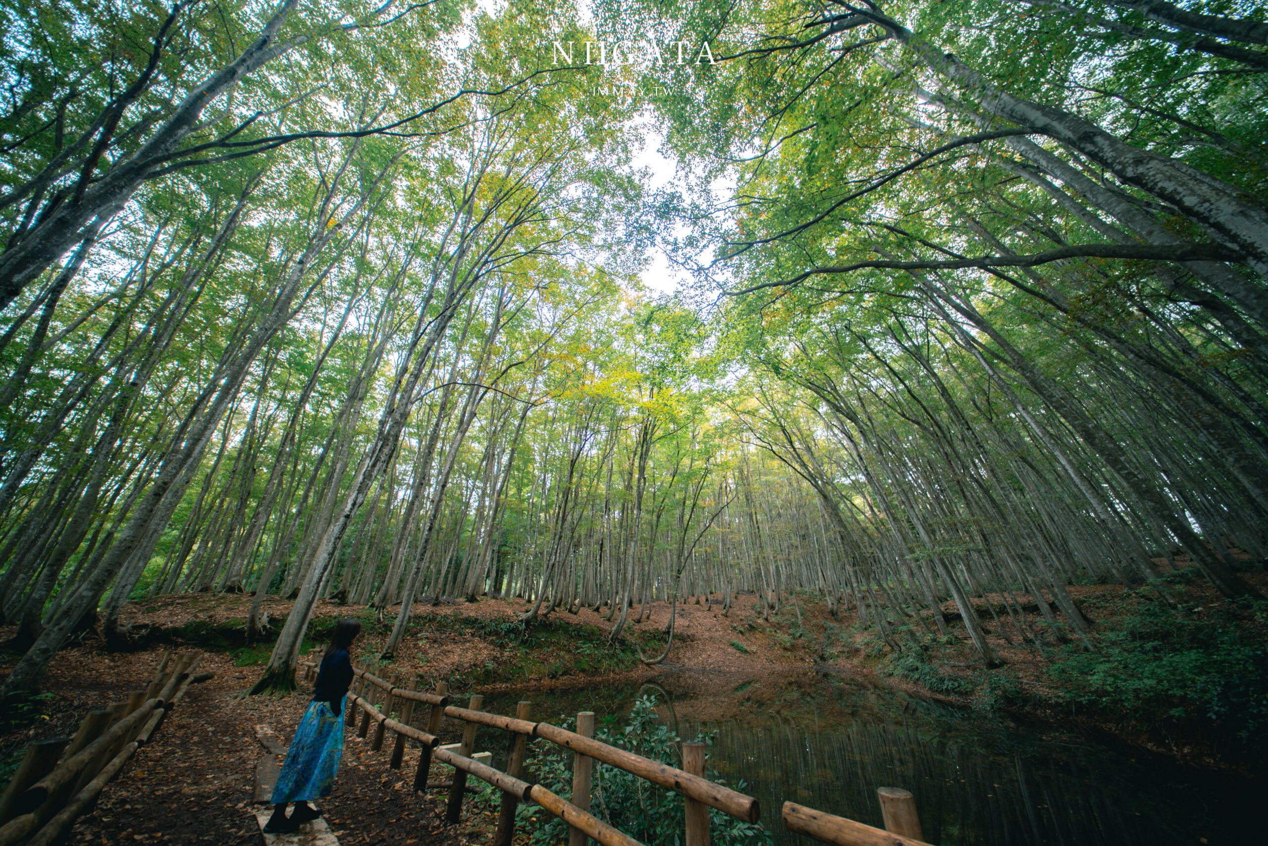 東北六大祭行程記錄 | Day 02 行程總表。平泉遺產 : 中尊寺、毛越寺，盛岡必吃冷麵燒肉，盛岡三颯舞 @偽日本人May．食遊玩樂