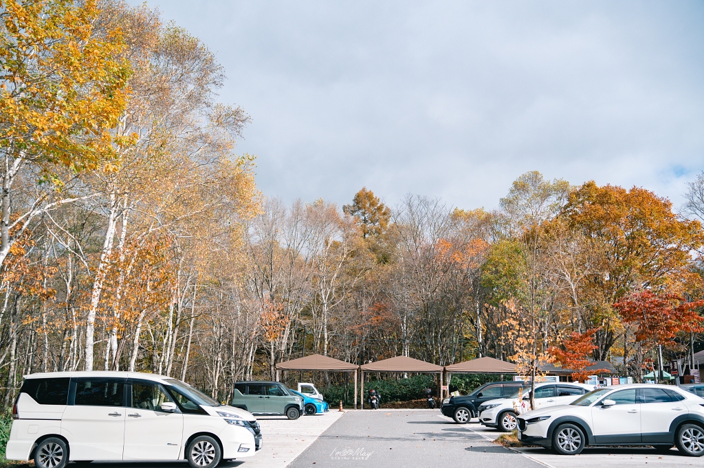 長野攝影記錄｜戶隱神社奧社：夢想清單解鎖！走進千年杉並木參道，捕捉秋日限定的絕美紅葉光影 @偽日本人May．食遊玩樂