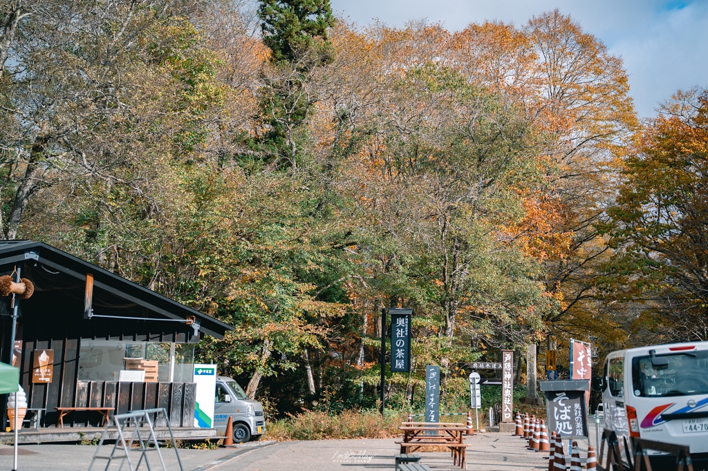 長野攝影記錄｜戶隱神社奧社：夢想清單解鎖！走進千年杉並木參道，捕捉秋日限定的絕美紅葉光影 @偽日本人May．食遊玩樂