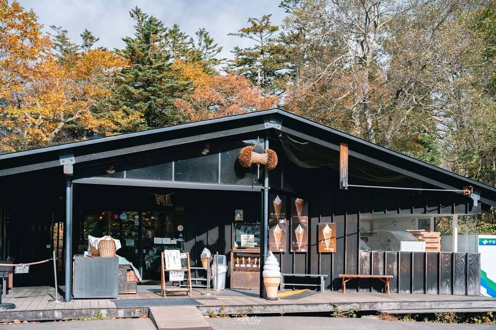 長野攝影記錄｜戶隱神社奧社：夢想清單解鎖！走進千年杉並木參道，捕捉秋日限定的絕美紅葉光影 @偽日本人May．食遊玩樂
