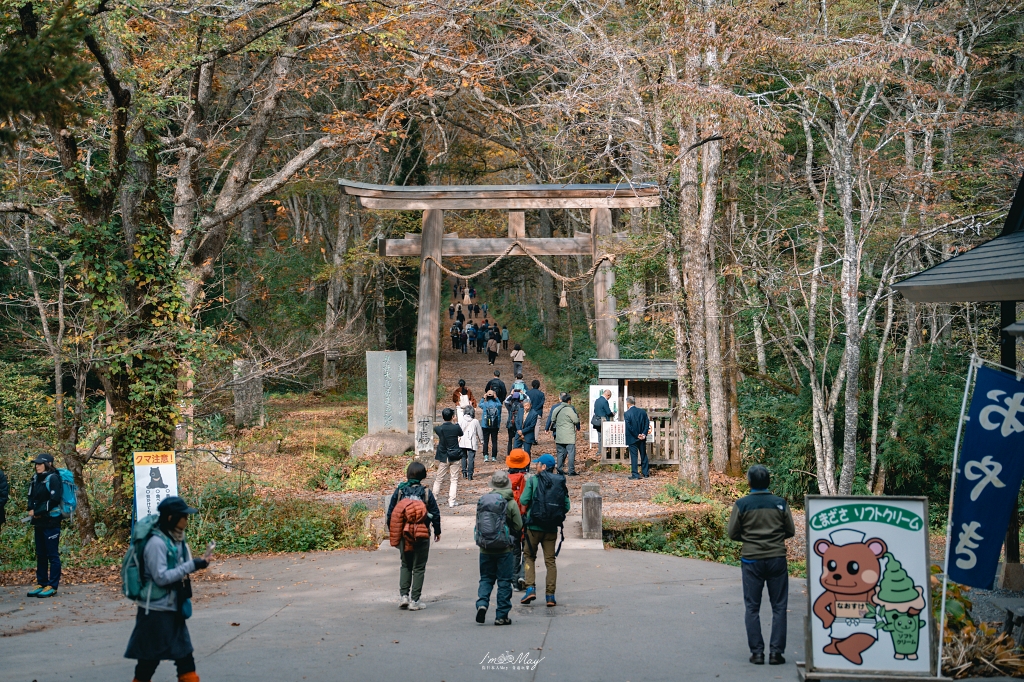 長野攝影記錄｜戶隱神社奧社：夢想清單解鎖！走進千年杉並木參道，捕捉秋日限定的絕美紅葉光影 @偽日本人May．食遊玩樂