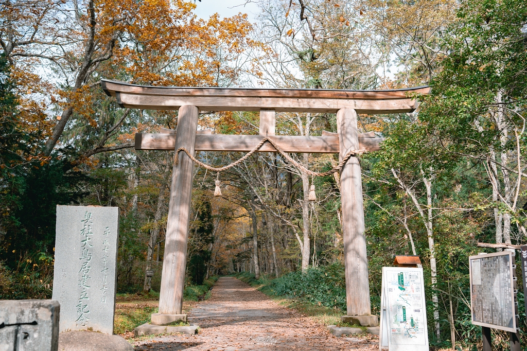 長野攝影記錄｜戶隱神社奧社：夢想清單解鎖！走進千年杉並木參道，捕捉秋日限定的絕美紅葉光影 @偽日本人May．食遊玩樂