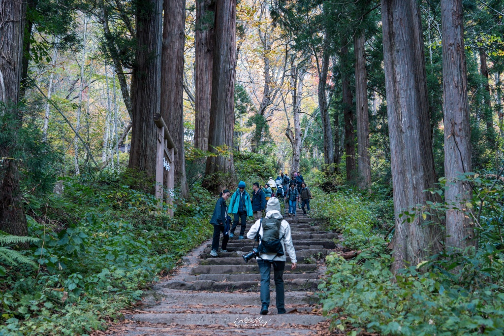 長野攝影記錄｜戶隱神社奧社：夢想清單解鎖！走進千年杉並木參道，捕捉秋日限定的絕美紅葉光影 @偽日本人May．食遊玩樂