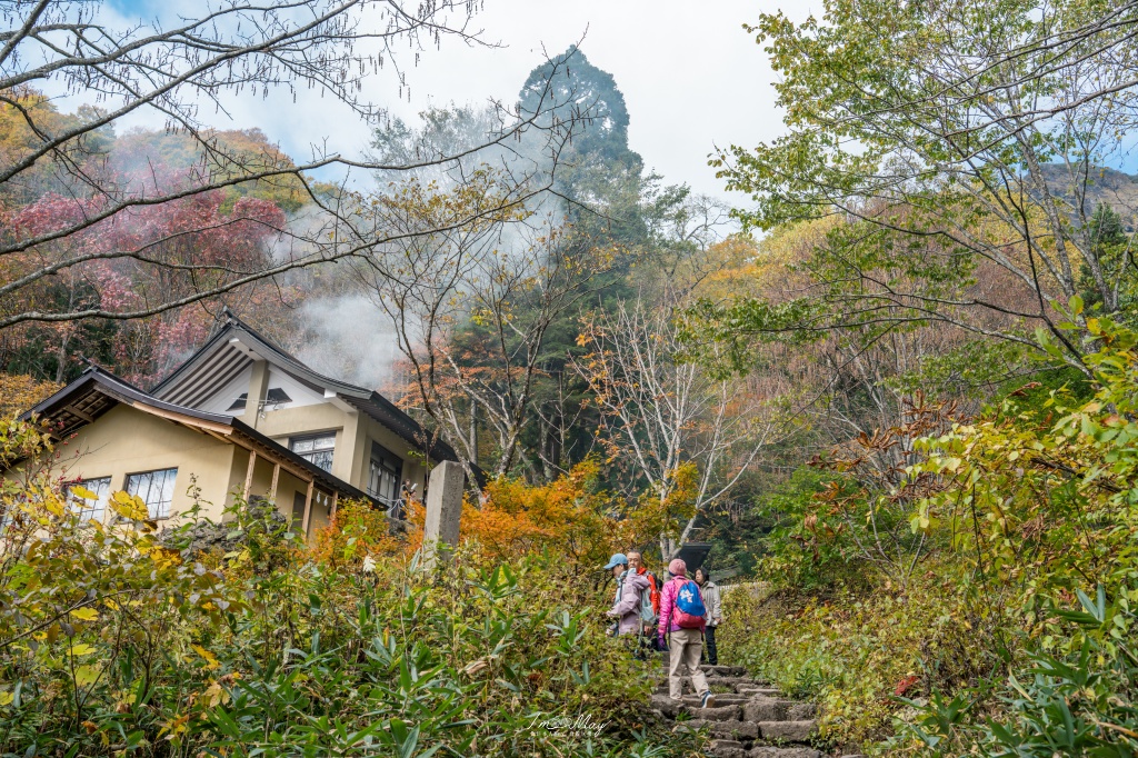 長野攝影記錄｜戶隱神社奧社：夢想清單解鎖！走進千年杉並木參道，捕捉秋日限定的絕美紅葉光影 @偽日本人May．食遊玩樂