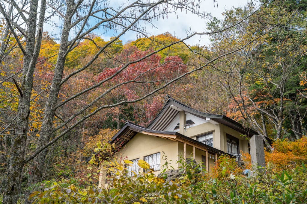 長野攝影記錄｜戶隱神社奧社：夢想清單解鎖！走進千年杉並木參道，捕捉秋日限定的絕美紅葉光影 @偽日本人May．食遊玩樂