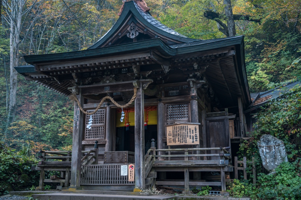長野攝影記錄｜戶隱神社奧社：夢想清單解鎖！走進千年杉並木參道，捕捉秋日限定的絕美紅葉光影 @偽日本人May．食遊玩樂