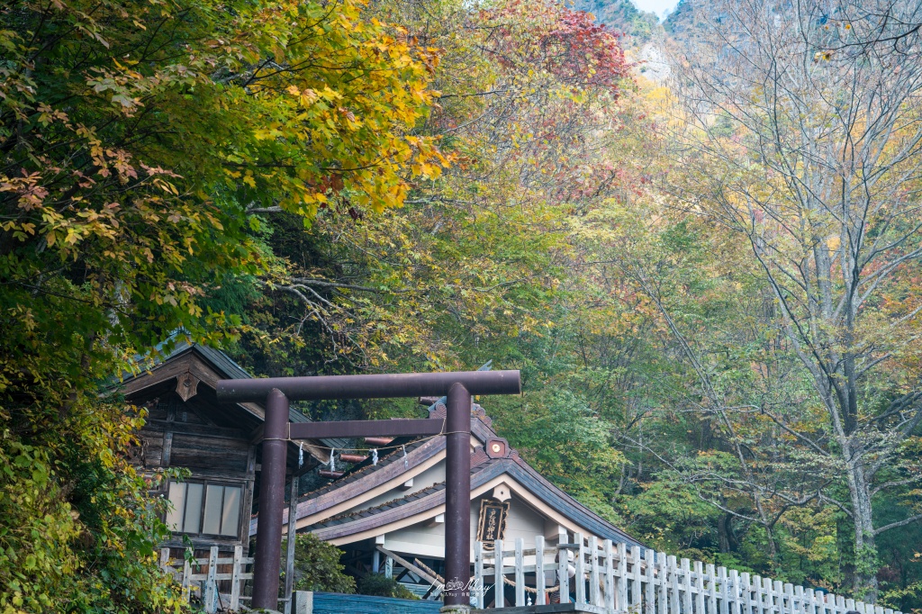 長野攝影記錄｜戶隱神社奧社：夢想清單解鎖！走進千年杉並木參道，捕捉秋日限定的絕美紅葉光影 @偽日本人May．食遊玩樂