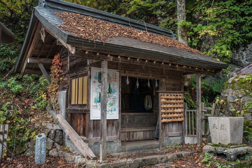 長野攝影記錄｜戶隱神社奧社：夢想清單解鎖！走進千年杉並木參道，捕捉秋日限定的絕美紅葉光影 @偽日本人May．食遊玩樂