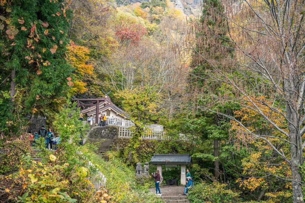 長野攝影記錄｜戶隱神社奧社：夢想清單解鎖！走進千年杉並木參道，捕捉秋日限定的絕美紅葉光影 @偽日本人May．食遊玩樂