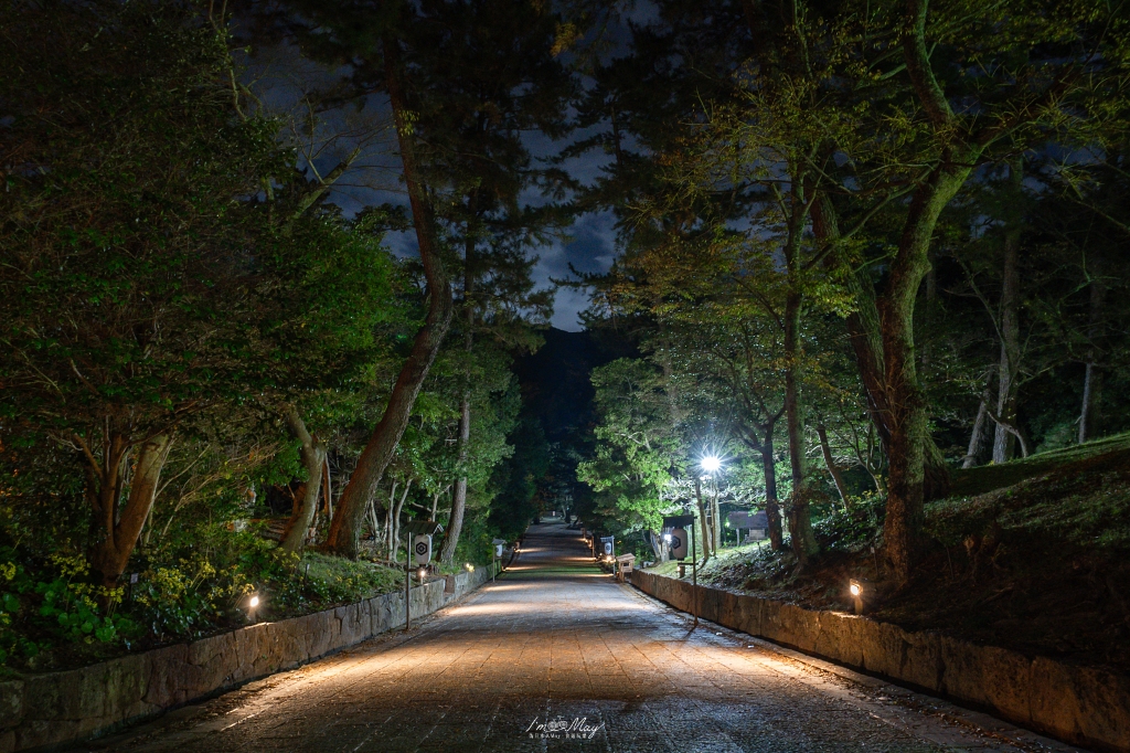 島根攝影記錄｜造訪結緣的聖地：出雲大社「神在月」限定，捕捉清晨空景與夜晚朱紅的結緣之美 @偽日本人May．食遊玩樂