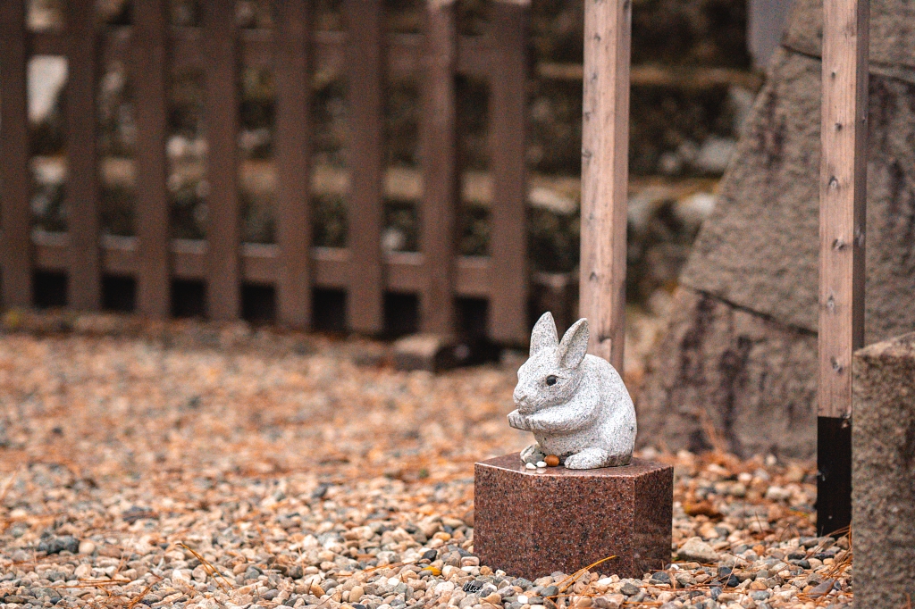 島根攝影記錄｜造訪結緣的聖地：出雲大社「神在月」限定，捕捉清晨空景與夜晚朱紅的結緣之美 @偽日本人May．食遊玩樂
