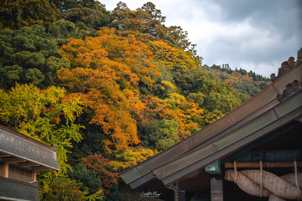 島根攝影記錄｜造訪結緣的聖地：出雲大社「神在月」限定，捕捉清晨空景與夜晚朱紅的結緣之美 @偽日本人May．食遊玩樂