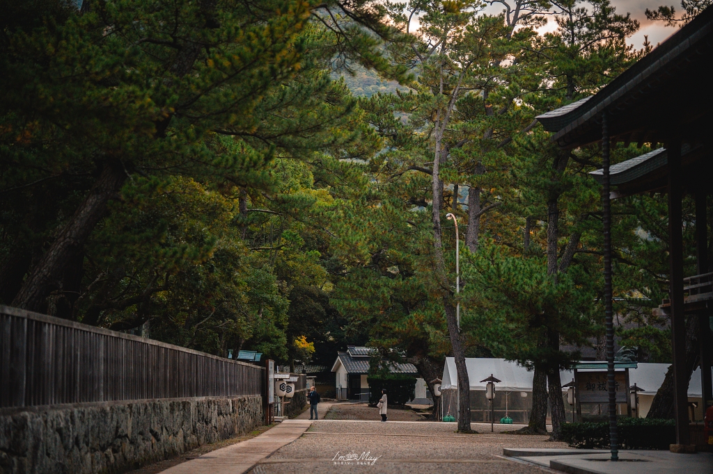 島根攝影記錄｜造訪結緣的聖地：出雲大社「神在月」限定，捕捉清晨空景與夜晚朱紅的結緣之美 @偽日本人May．食遊玩樂