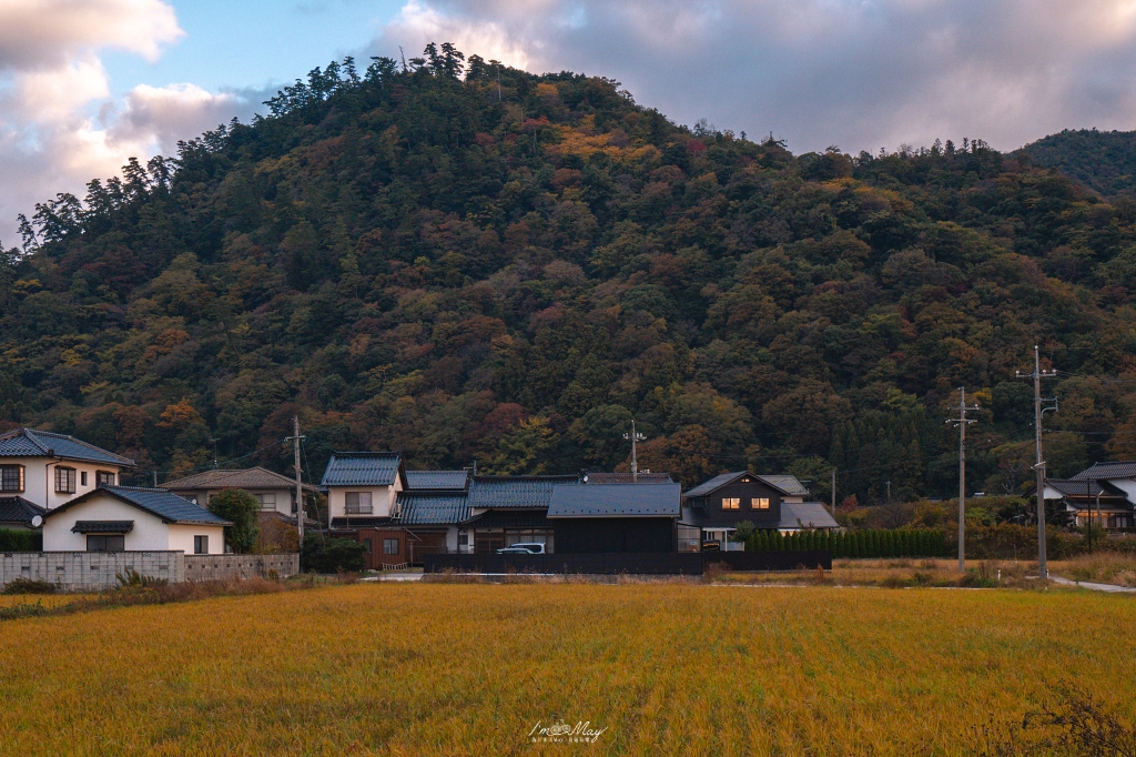 島根攝影記錄|造訪結緣的聖地:出雲大社「神在月」限定,捕捉清晨空景與夜晚朱紅的結緣之美 @偽日本人May.食遊玩樂 島根攝影記錄|造訪結緣的聖地:出雲大社「神在月」限定,捕捉清晨空景與夜晚朱紅的結緣之美 @偽日本人May.食遊玩樂