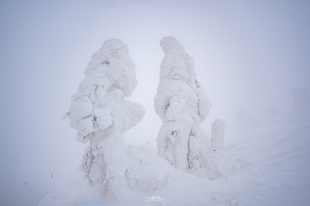 追尋雪國火光！秋田冬日雙祭典記錄：生剝鬼柴燈祭、角館火振祭 3 天 2 夜深度之旅，與 JR 東日本、創造旅遊走進森吉山樹冰的魔幻雪景 @偽日本人May．食遊玩樂