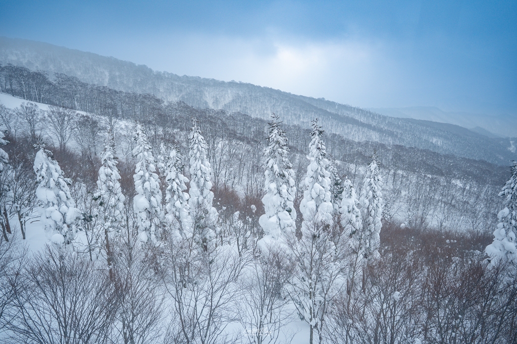 追尋雪國火光！秋田冬日雙祭典記錄：生剝鬼柴燈祭、角館火振祭 3 天 2 夜深度之旅，與 JR 東日本、創造旅遊走進森吉山樹冰的魔幻雪景 @偽日本人May．食遊玩樂
