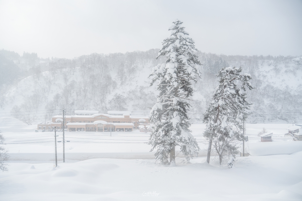 【日本鐵道攝影】尋找雪國的另一種純粹：JR 飯山線，捕捉千曲川畔的寂靜光影 @偽日本人May．食遊玩樂