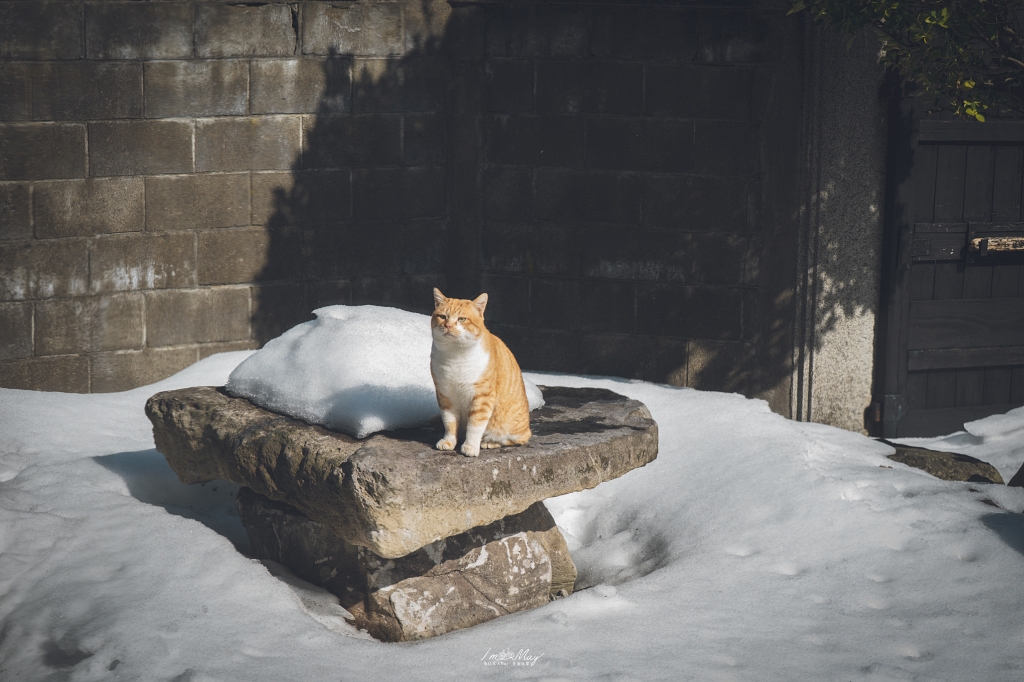 追尋雪國火光！秋田冬日雙祭典記錄：生剝鬼柴燈祭、角館火振祭 3 天 2 夜深度之旅，與 JR 東日本、創造旅遊走進森吉山樹冰的魔幻雪景 @偽日本人May．食遊玩樂