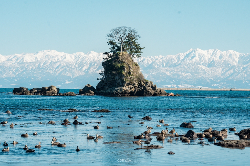 富山攝影點記錄｜雨晴海岸：與海上立山連峰的冬季邂逅，捕捉冰見線列車駛進絕景的夢幻瞬間，一場考驗運氣與耐心的記錄 @偽日本人May．食遊玩樂