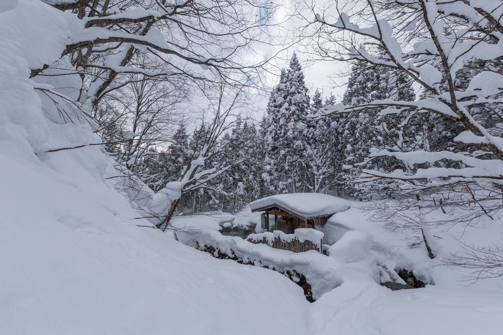 秋田 | 乳頭溫泉巡禮 – 蟹場溫泉：踏過積雪林道，只為隱身原生林中的透明秘湯，感受與自然合一的森林風呂 @偽日本人May．食遊玩樂