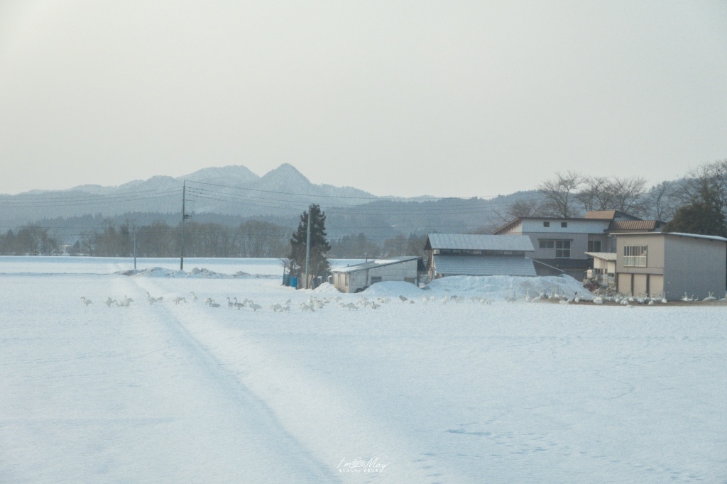 秋田住宿推薦 | 乳頭溫泉鄉：大釜溫泉，小資獨旅的首選，平價入住校舍改建的溫潤秘湯 @偽日本人May．食遊玩樂
