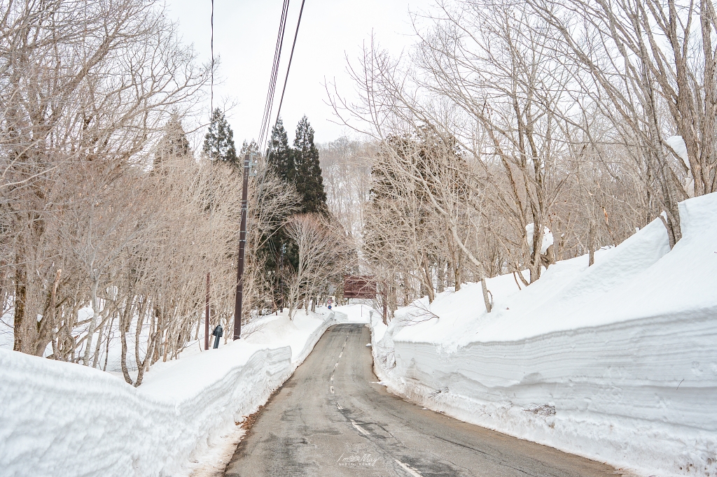 秋田 | 乳頭溫泉巡禮 – 蟹場溫泉：踏過積雪林道，只為隱身原生林中的透明秘湯，感受與自然合一的森林風呂 @偽日本人May．食遊玩樂
