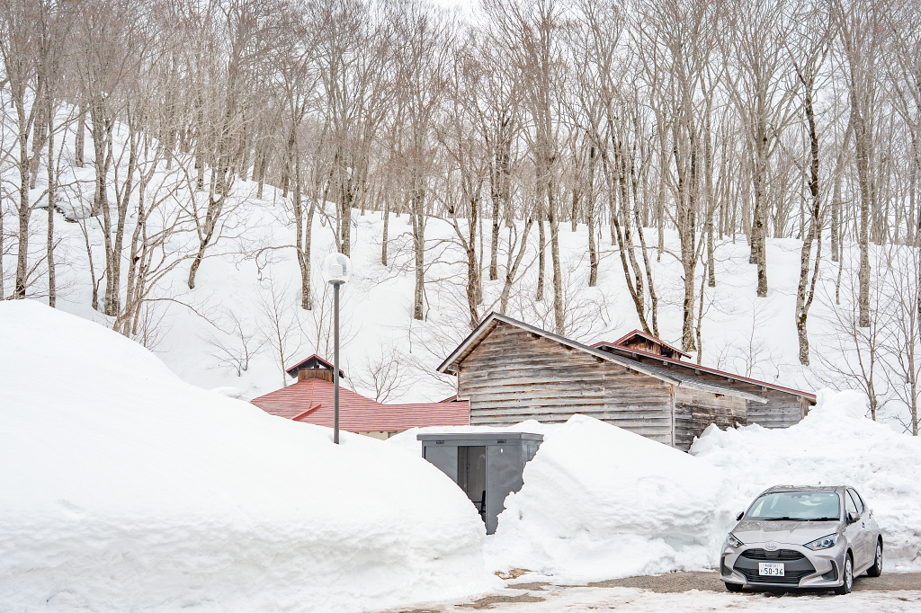 秋田 | 乳頭溫泉巡禮 – 蟹場溫泉：踏過積雪林道，只為隱身原生林中的透明秘湯，感受與自然合一的森林風呂 @偽日本人May．食遊玩樂
