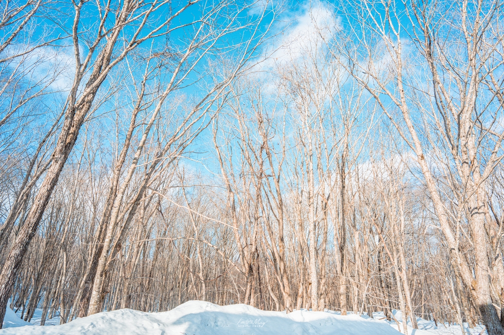 秋田住宿推薦 | 乳頭溫泉鄉：鶴之湯別館「山之宿」，捕捉雪地藍調的完美接駁，在古民家裡獨享圍爐裏炭火料理、獨享免預約貸切風呂 @偽日本人May．食遊玩樂