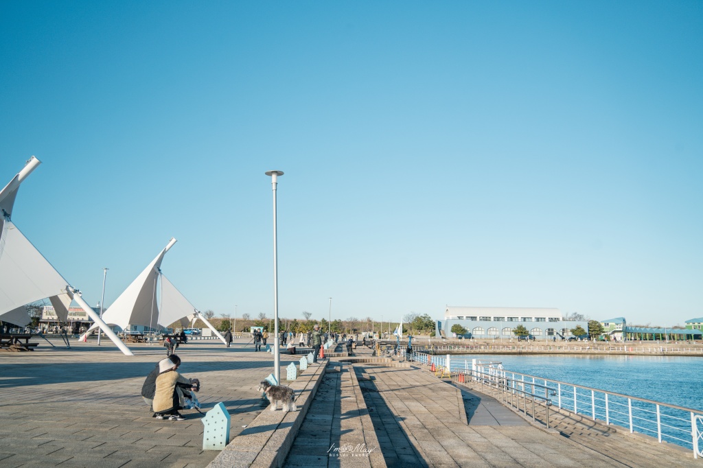 富山攝影記錄｜海王丸公園：捕捉「海上貴婦人」與立山連峰的共舞，新湊大橋下的冬日絕景 @偽日本人May．食遊玩樂