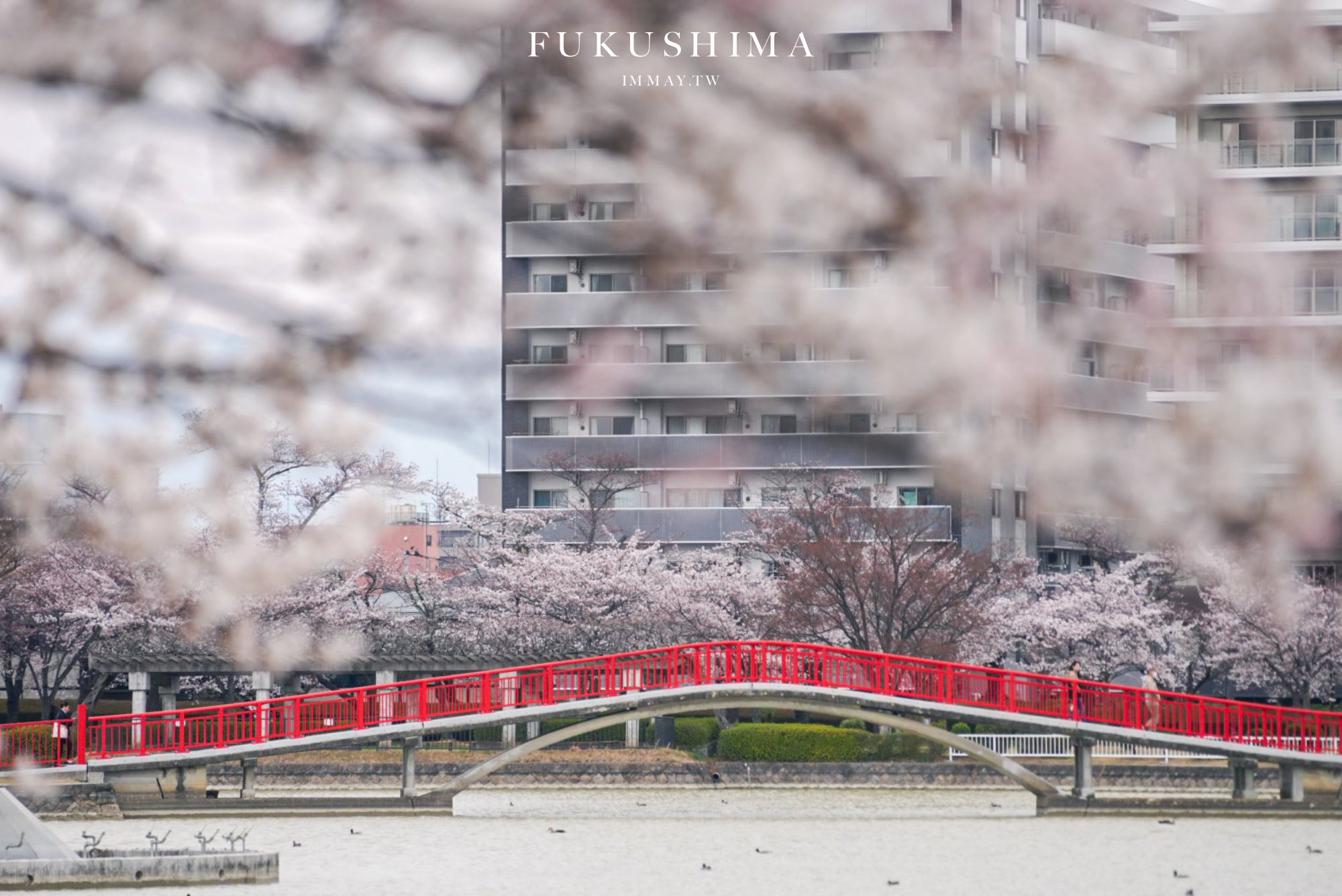福島春季旅行提案 : 當大梵谷遇見粉色奇蹟:福島 DC 觀光企劃,一場結合藝術與復興的五感盛宴 @偽日本人May.食遊玩樂 福島春季旅行提案 : 當大梵谷遇見粉色奇蹟:福島 DC 觀光企劃,一場結合藝術與復興的五感盛宴 @偽日本人May.食遊玩樂
