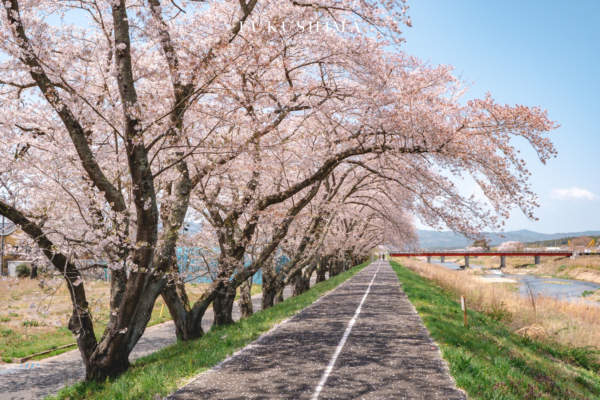 福島春季旅行提案 : 當大梵谷遇見粉色奇蹟:福島 DC 觀光企劃,一場結合藝術與復興的五感盛宴 @偽日本人May.食遊玩樂 福島春季旅行提案 : 當大梵谷遇見粉色奇蹟:福島 DC 觀光企劃,一場結合藝術與復興的五感盛宴 @偽日本人May.食遊玩樂