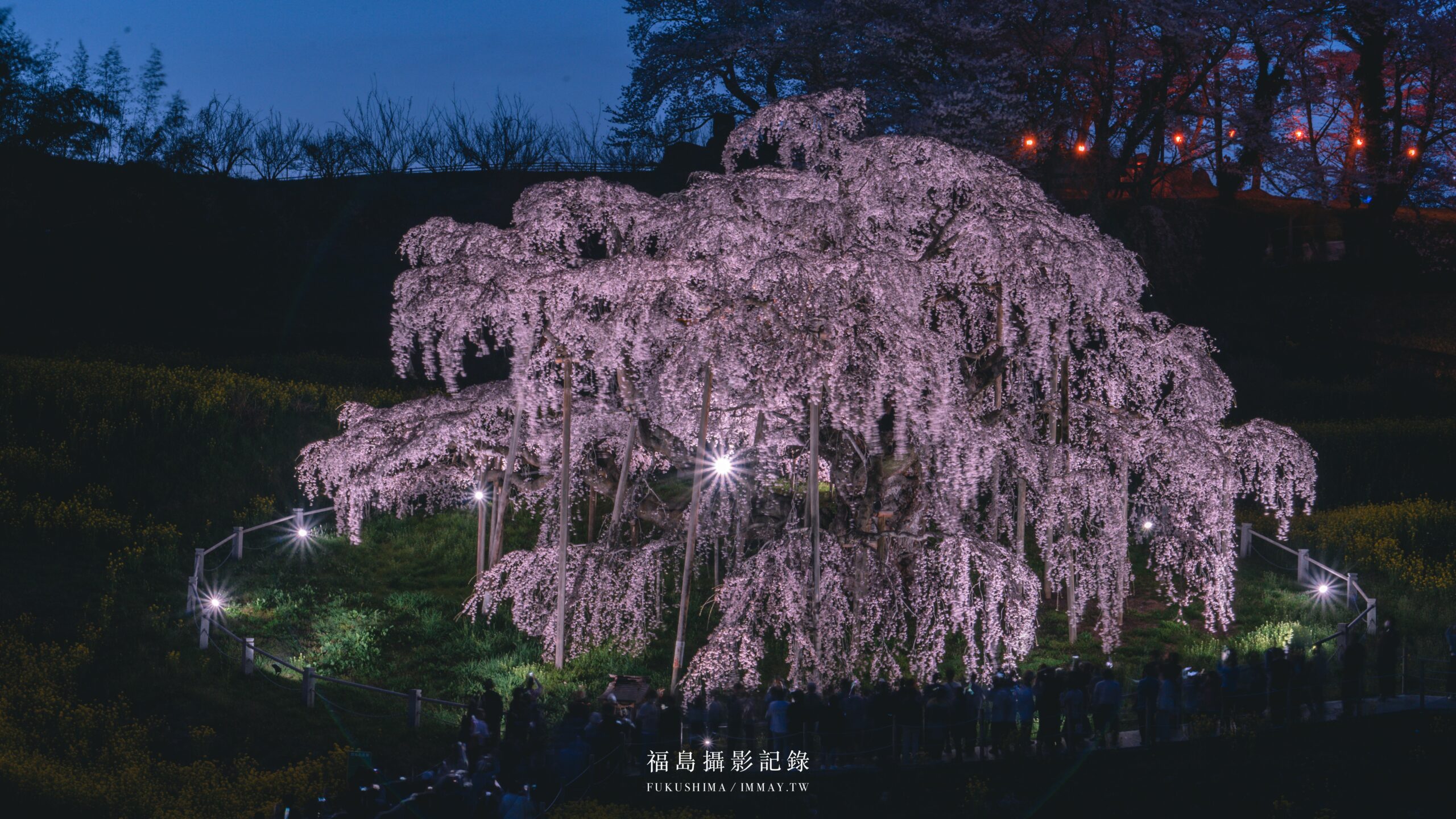 福島春季旅行提案 : 當大梵谷遇見粉色奇蹟:福島 DC 觀光企劃,一場結合藝術與復興的五感盛宴 @偽日本人May.食遊玩樂 福島春季旅行提案 : 當大梵谷遇見粉色奇蹟:福島 DC 觀光企劃,一場結合藝術與復興的五感盛宴 @偽日本人May.食遊玩樂