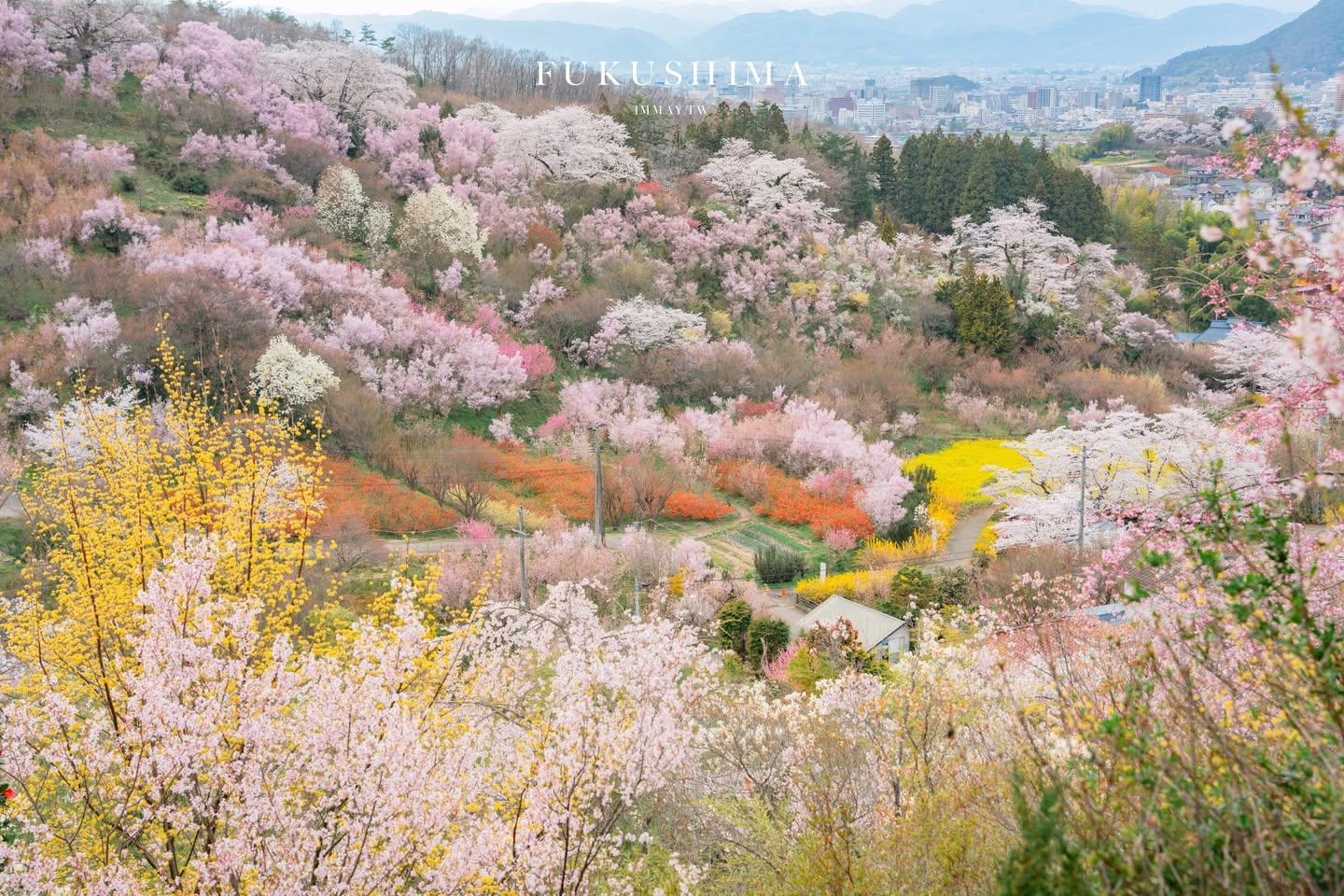 福島春季旅行提案 : 當大梵谷遇見粉色奇蹟:福島 DC 觀光企劃,一場結合藝術與復興的五感盛宴 @偽日本人May.食遊玩樂 福島春季旅行提案 : 當大梵谷遇見粉色奇蹟:福島 DC 觀光企劃,一場結合藝術與復興的五感盛宴 @偽日本人May.食遊玩樂