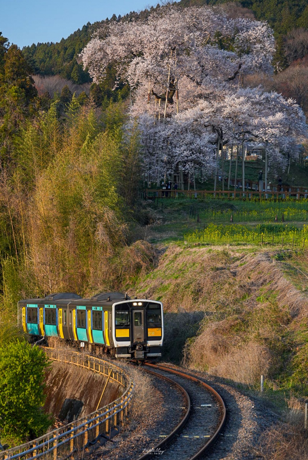 福島春季旅行提案 : 當大梵谷遇見粉色奇蹟:福島 DC 觀光企劃,一場結合藝術與復興的五感盛宴 @偽日本人May.食遊玩樂 福島春季旅行提案 : 當大梵谷遇見粉色奇蹟:福島 DC 觀光企劃,一場結合藝術與復興的五感盛宴 @偽日本人May.食遊玩樂